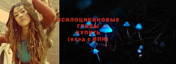 спайс Краснослободск