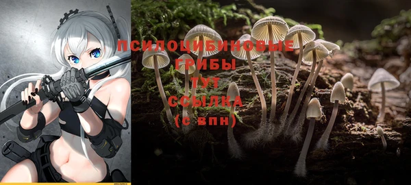 меф Краснотурьинск